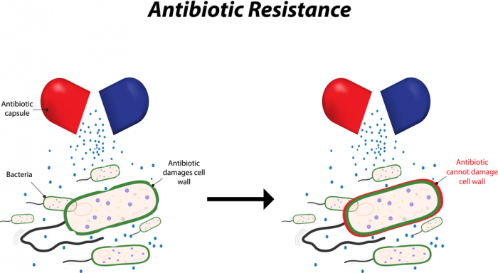 Antibiotic resistance